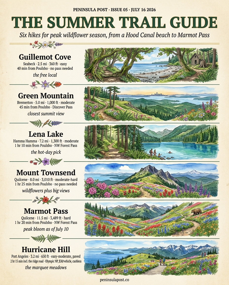 The Summer Trail Guide: six hikes for peak wildflower season, from Kitsap to Hurricane Ridge