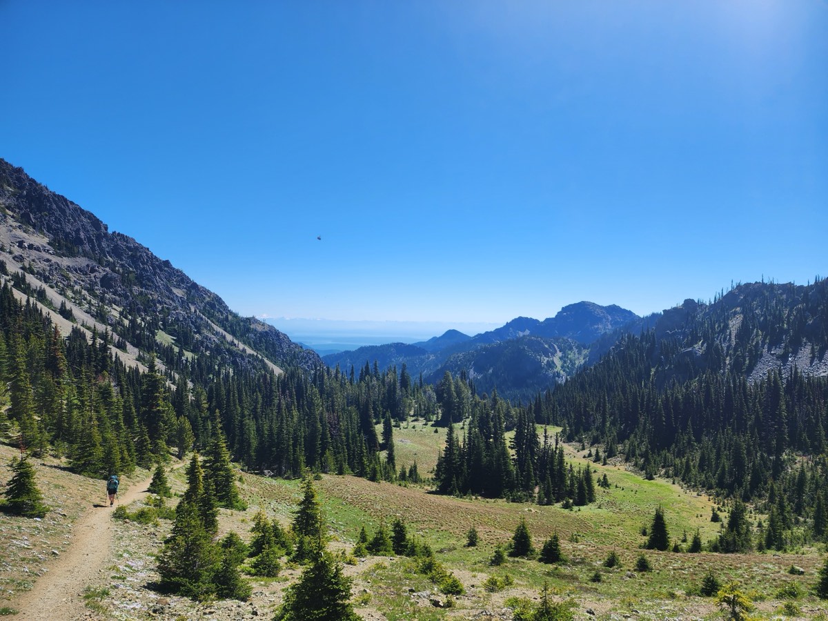 A hiker on the Marmot Pass trail through open Olympic high country, conifers and meadows falling away to a distant view of the water under a clear summer sky.